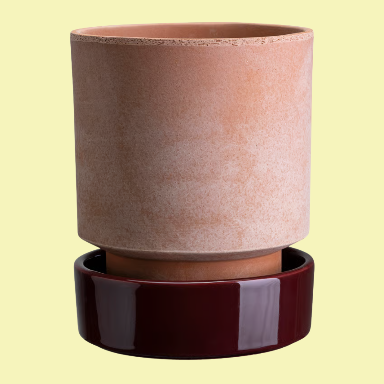 A terracotta planter with a burgundy saucer