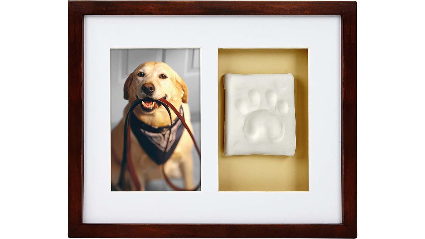 Paw Print Kit And Frame