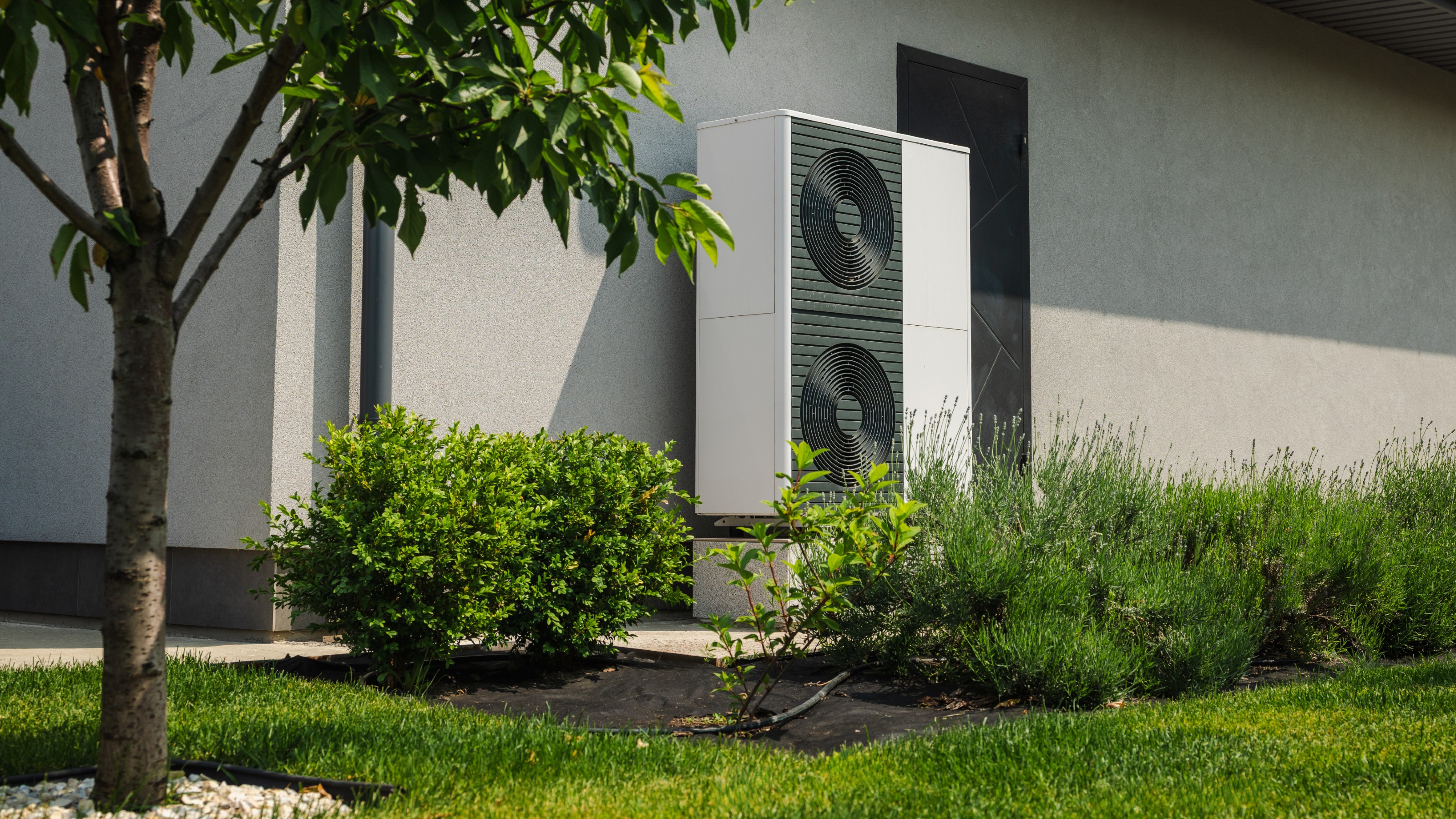 Heat pump installed on the outside of a rendered house, surrounded by greenery in the garden