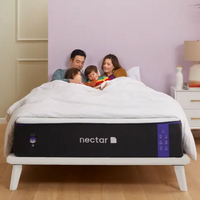 US Nectar Premier Memory Foam mattress (Full):  $1,849