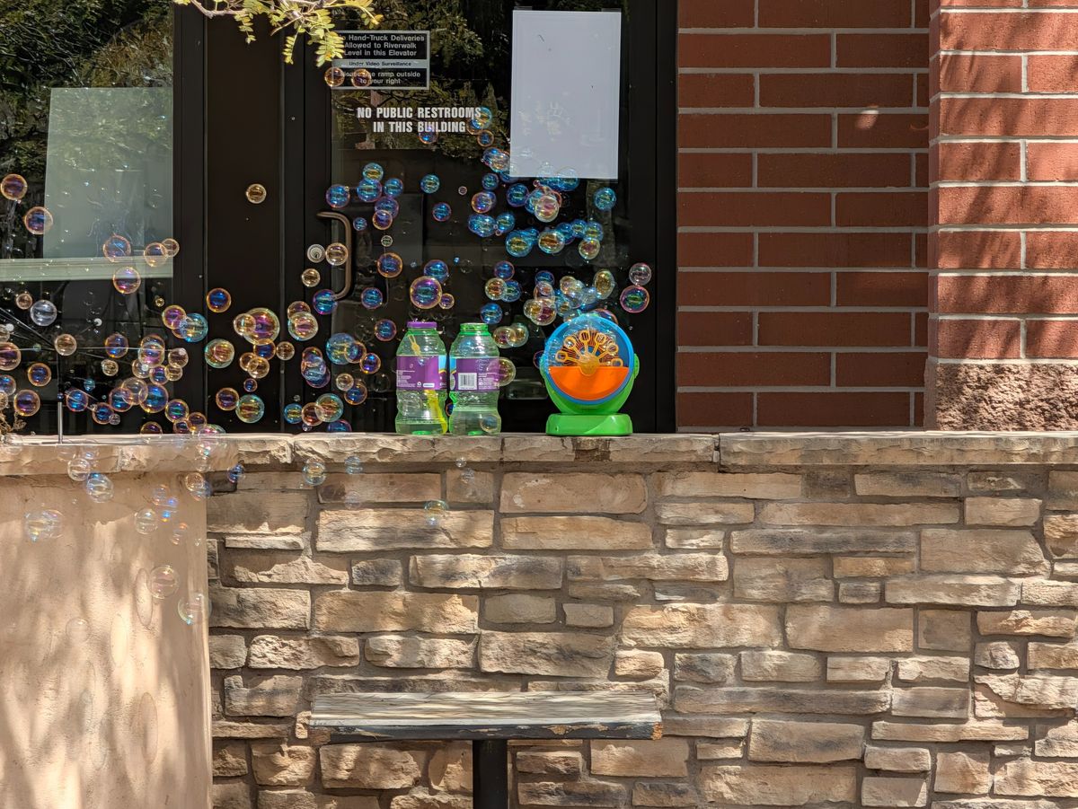 Google Pixel 11 Pro XL camera samples