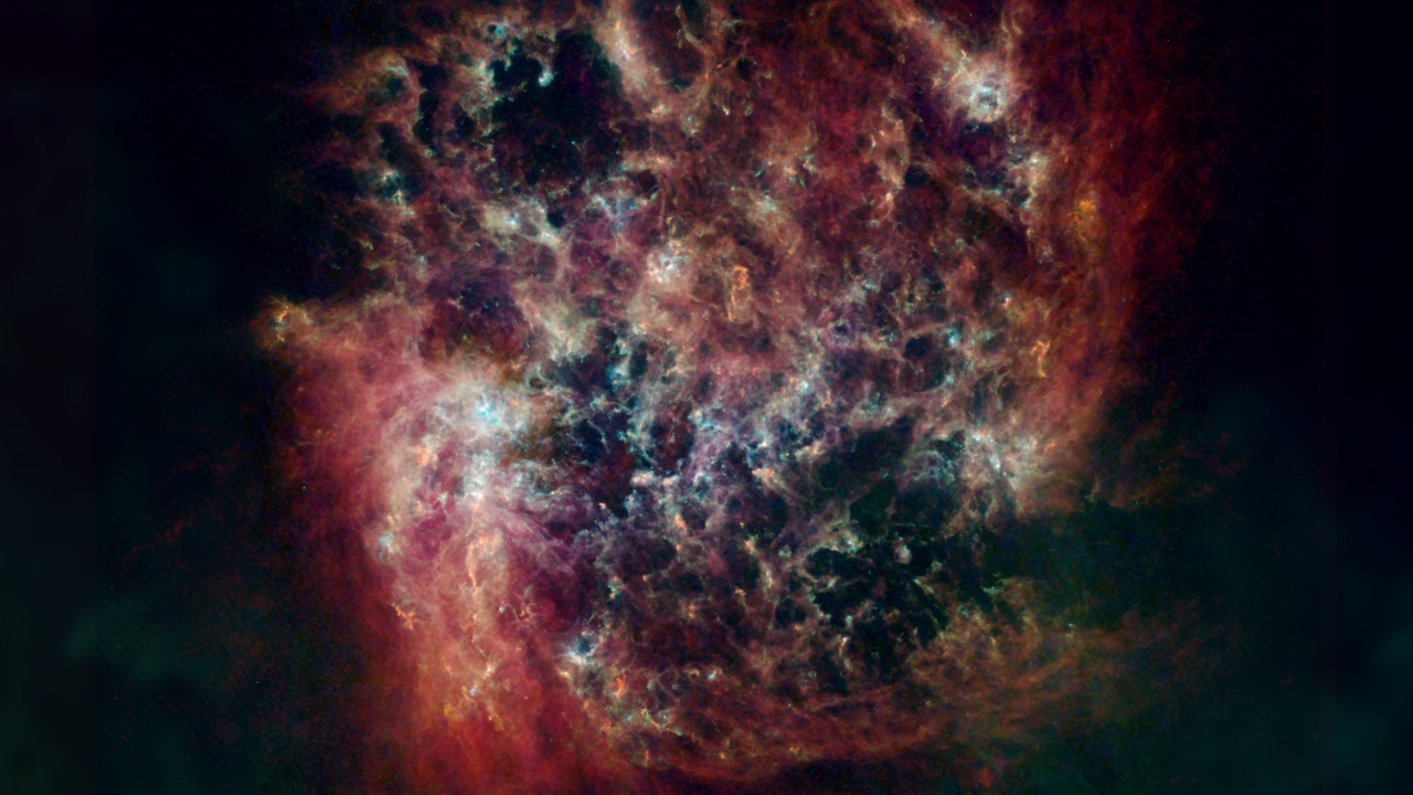 The Large Magellanic Cloud (LMC) in a far-infrared and radio wavelength view.