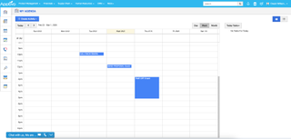 Screenshot of Apptivo crm in use