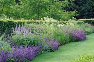 The garden at Scampston Hall. ©Val Corbett/Country Life Picture Library