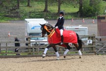 British_Dressage_Winter_Championships_.jpg