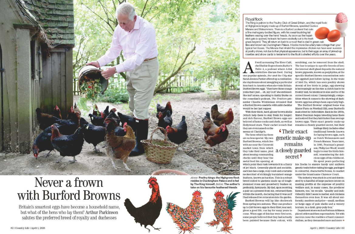 Spreads from Country Life 1 April 2026