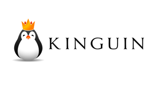 The Kinguin logo on a white background.