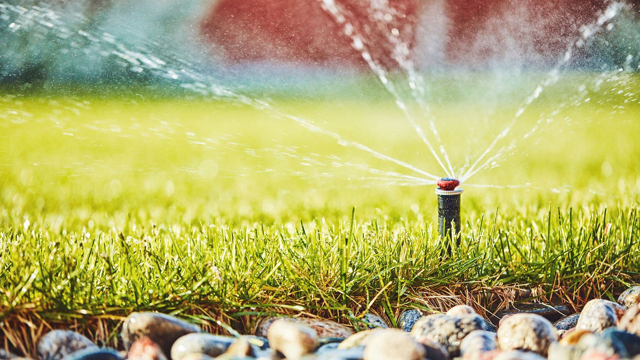 lawn sprinkler