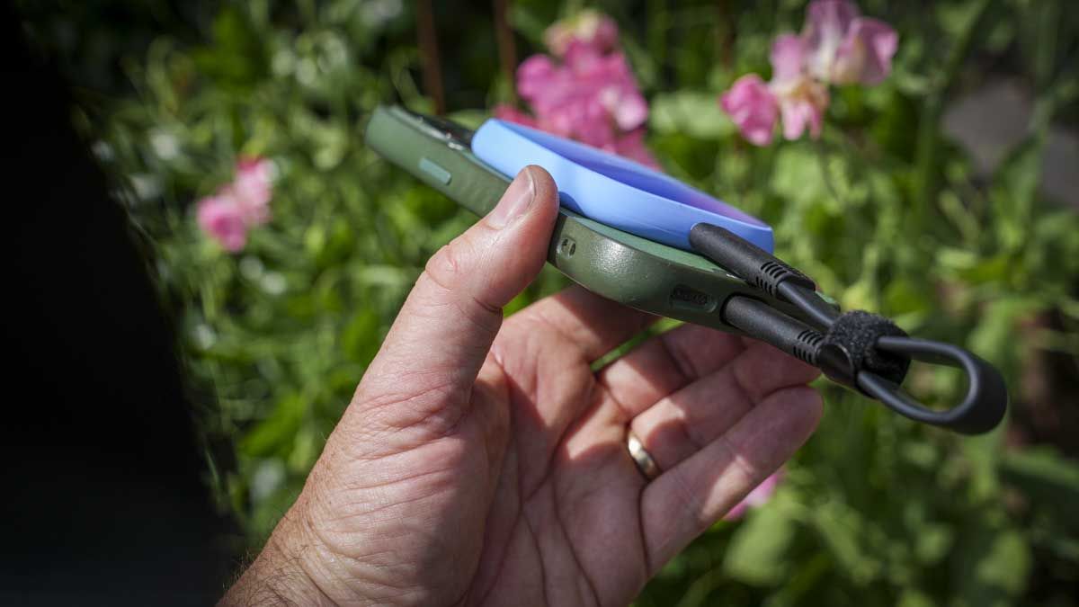 SanDisk Creator Phone SSD
