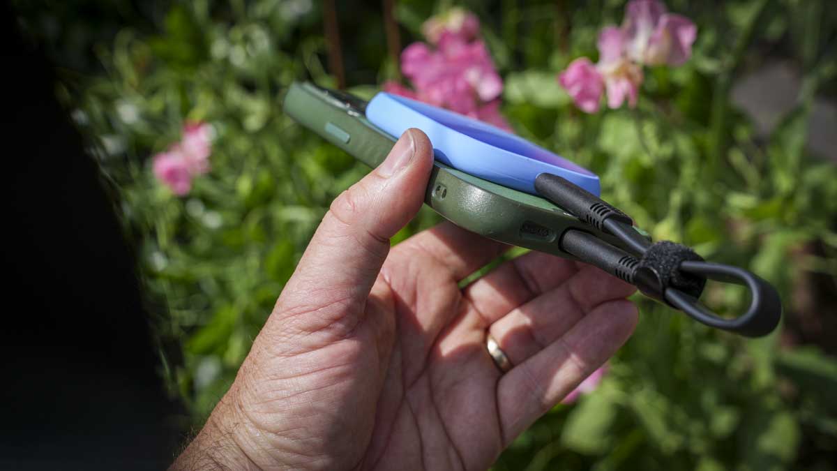 SanDisk Creator Phone SSD