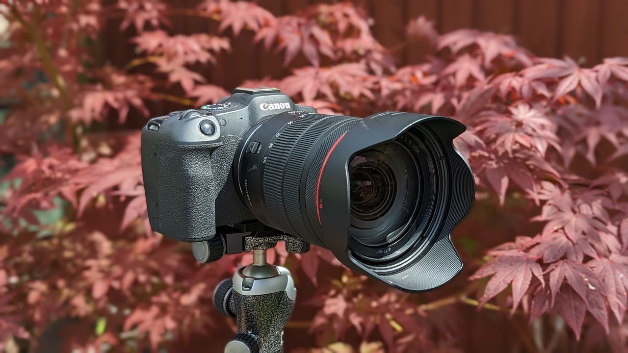 The Canon EOS R8 with a lens attached