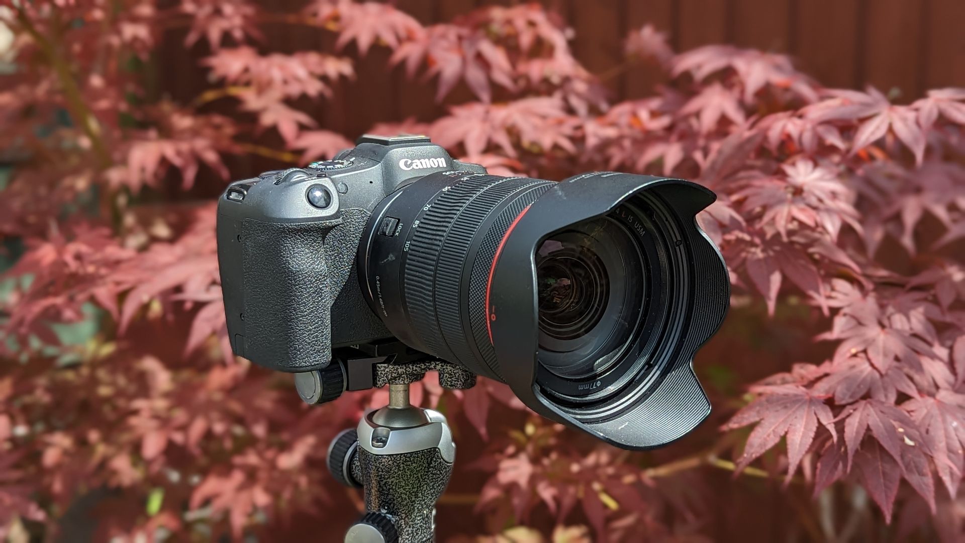 The Canon EOS R8 with a lens attached