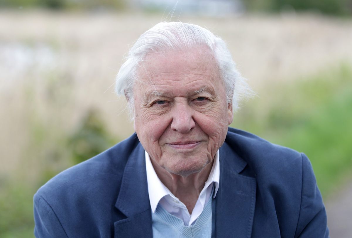 David Attenborough S New Podcast Has Been Developed To Alleviate Anxiety During Pandemic Woman Home