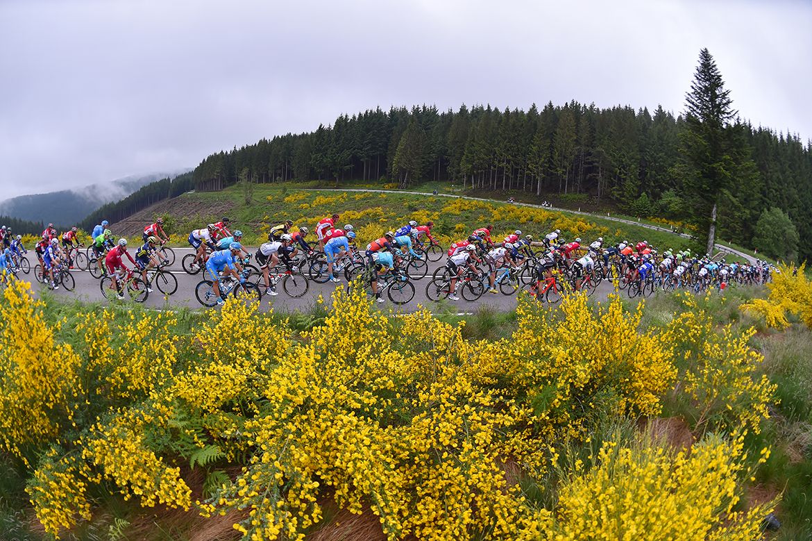 The peloton on the Crit&eacute;rium du Dauphin&eacute;'s opening stage