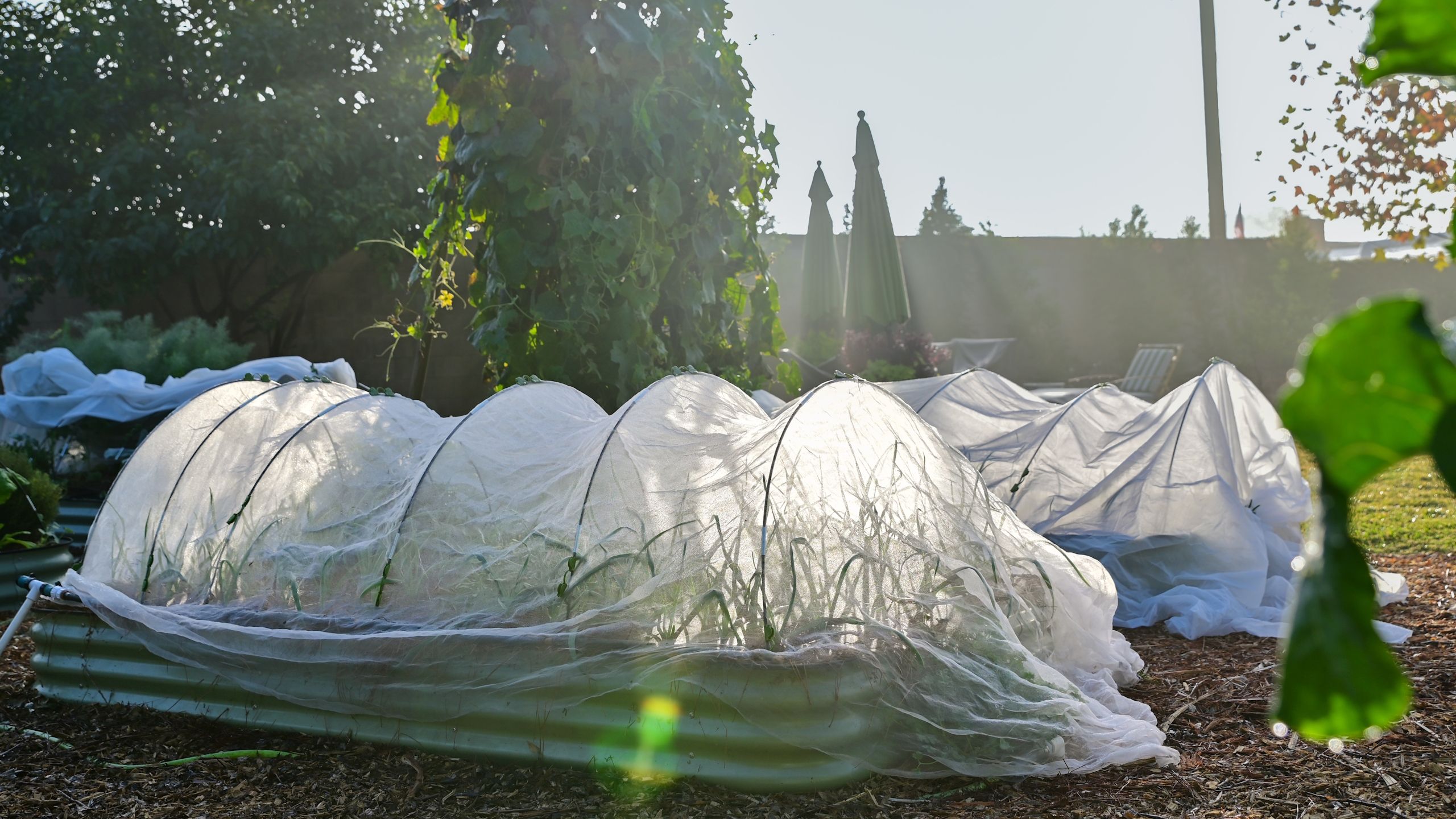 This Product Extends the Season and Shields Plants for Winter – You Simply Need to Pick the Right Grade