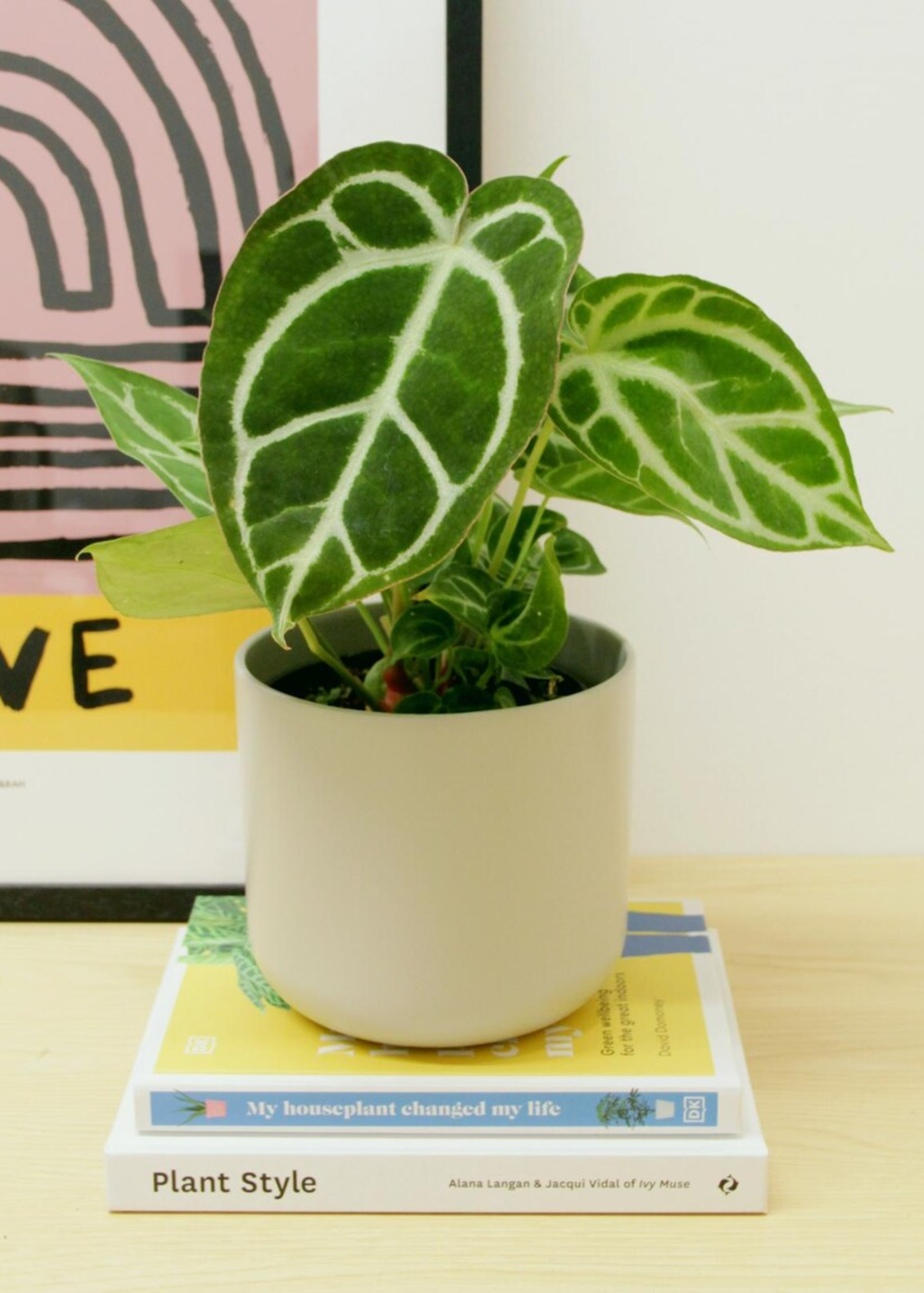 A potted anthurium on a stack of plant books