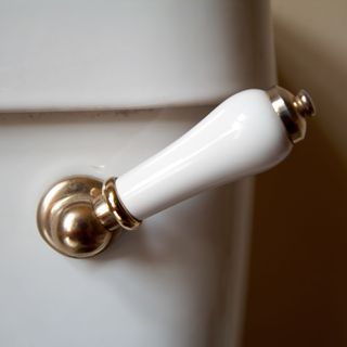 toilet flush handle on white toilet