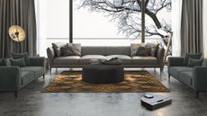 Neato D10 robot vacuum in a wintery liviing room with grey sofa