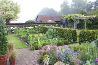 Vegetable plot of a victorian house with cloches protecting plants