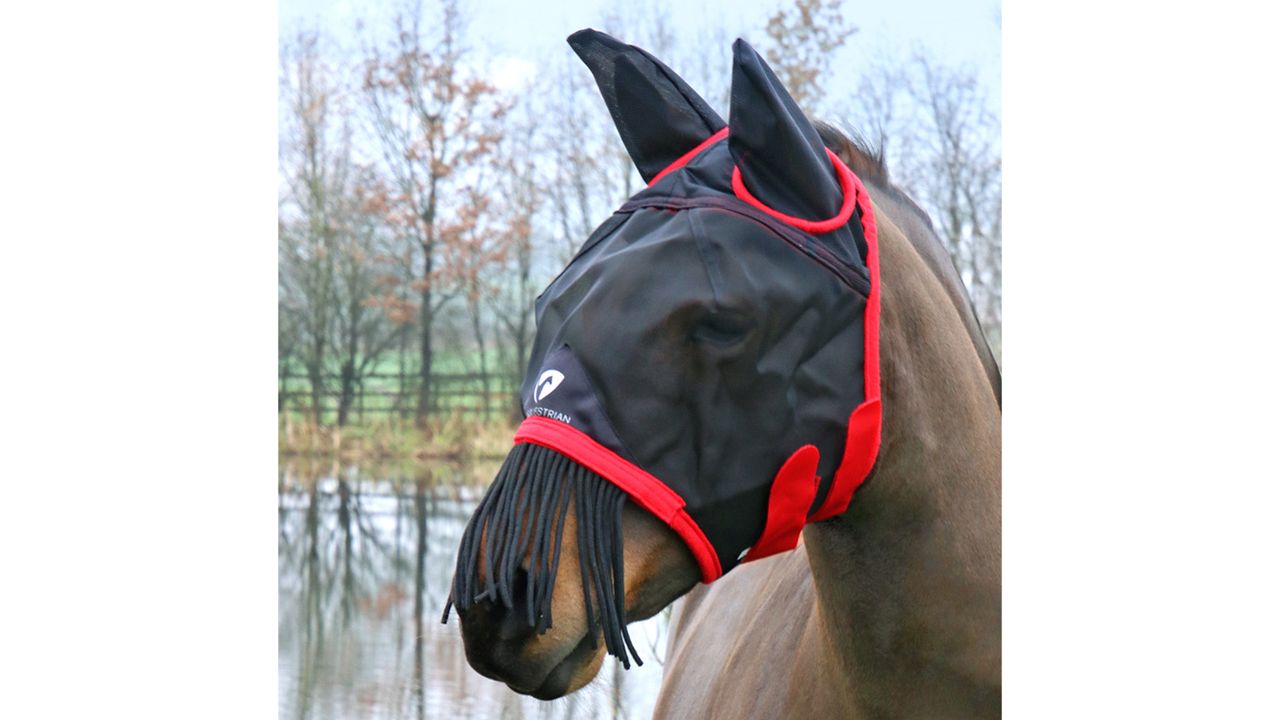 Hy Equestrian Mesh Half Mask With Ears And Fringe