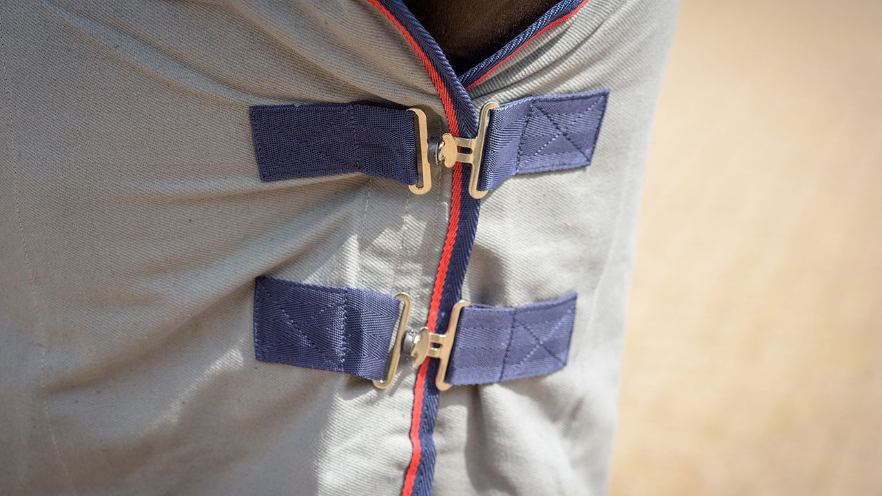 Masta Avante cotton summer sheet review
