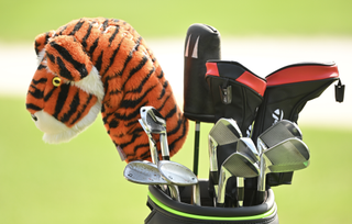 Tiger Woods' headcover