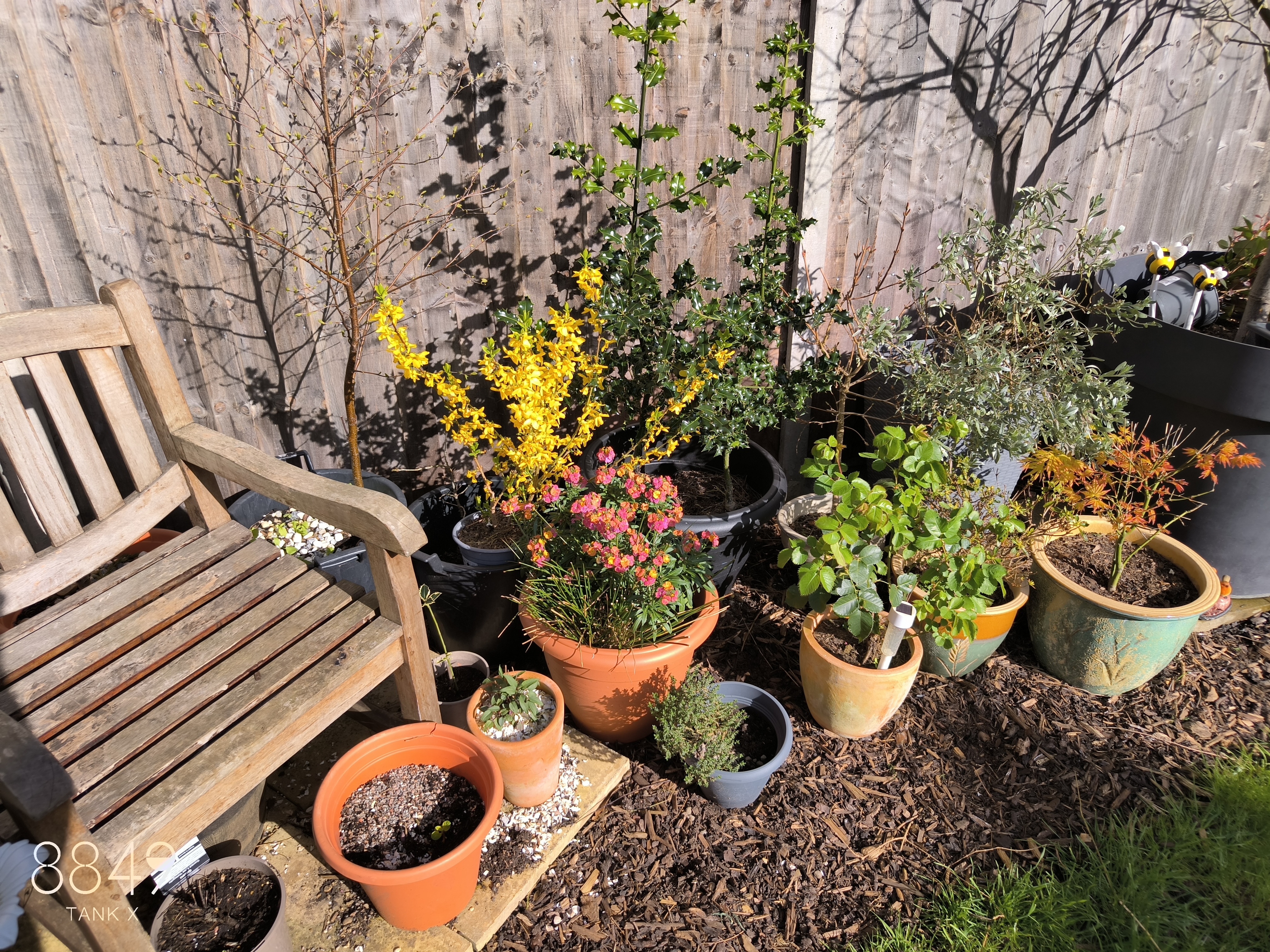 8849 Tank X Example Photos