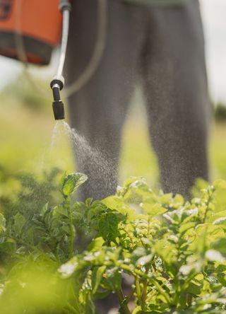 Pesticides and chemicals