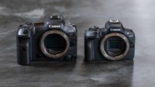 Canon EOS R5 body (left) and Canon EOS R100 (right) without lenses attached to show the difference in sensor size