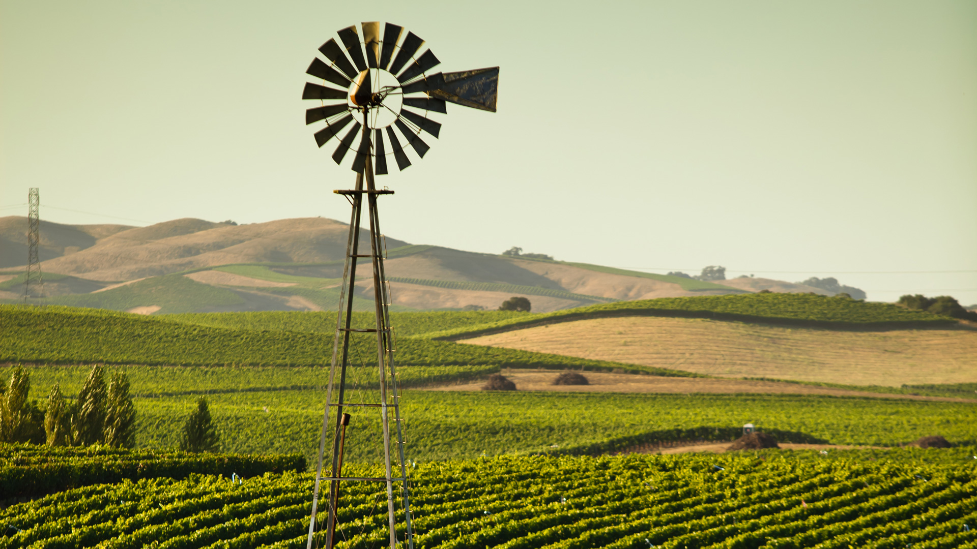 Decanter North America