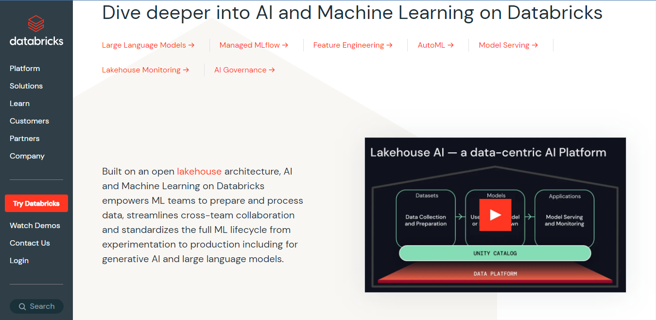 Website screenshot for Databricks