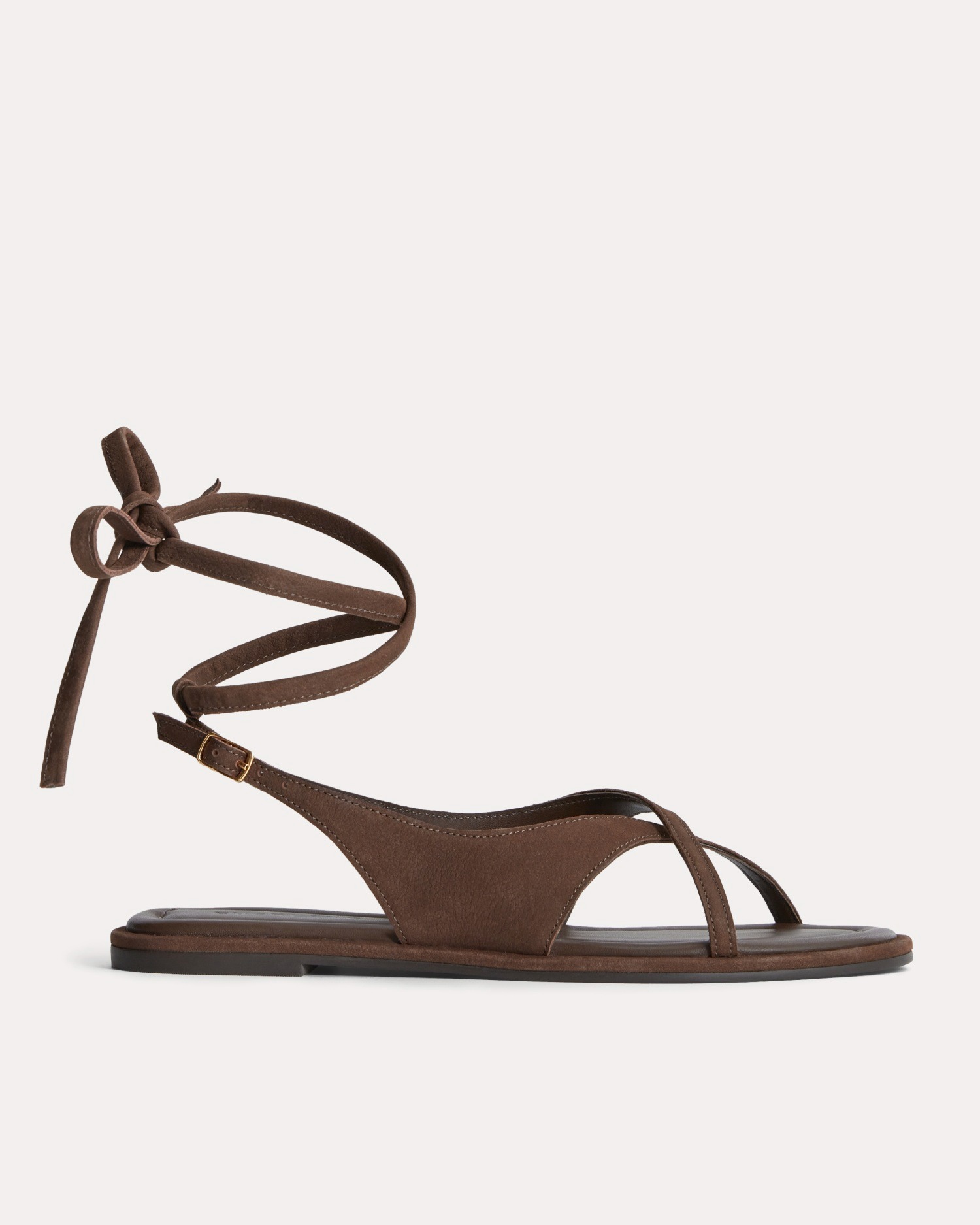 everlane, 