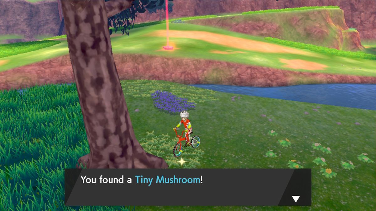 Pokemon Sword and Shield Hidden Items