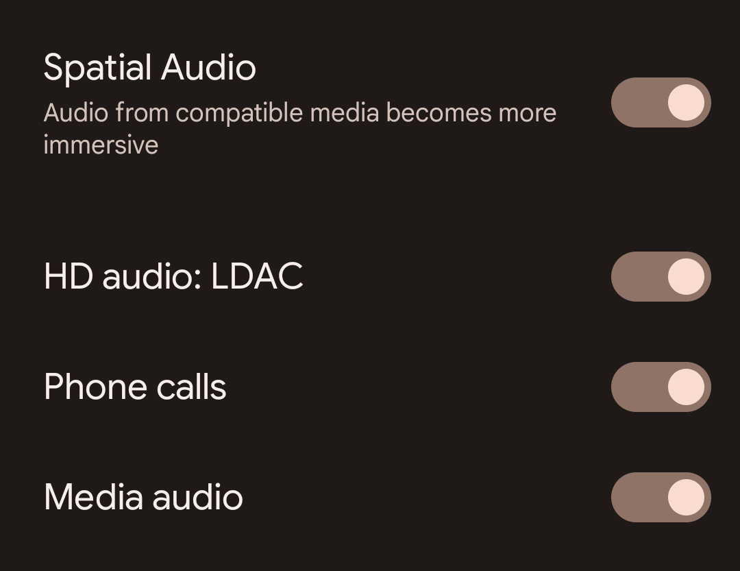 لقطة عن قرب تعرض ترميز LDAC في إعدادات Bluetooth.