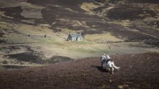 Deer stalking on the Blair Atholl estate in Scotland