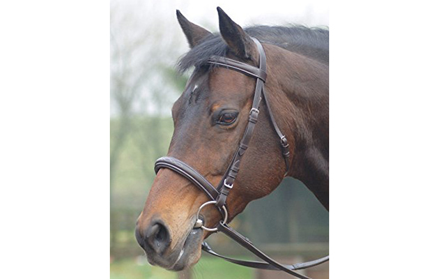 Cottage Craft Cambridge Bridle