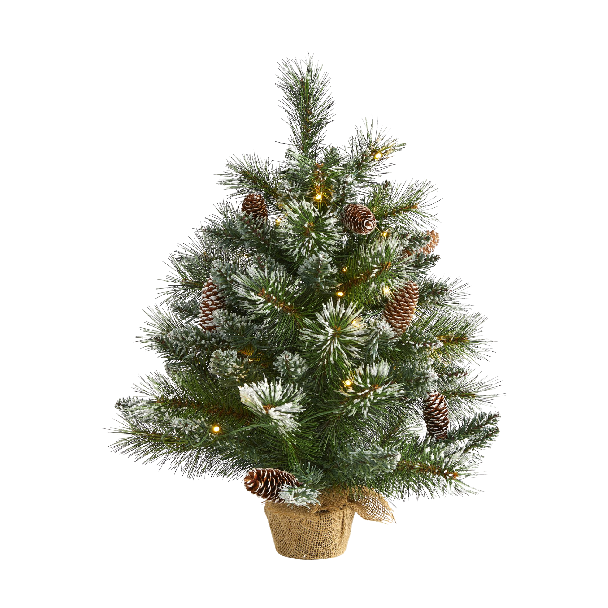 a mini Christmas tree