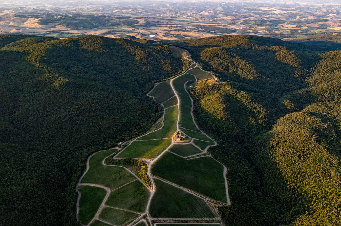 Vineyards in a valley