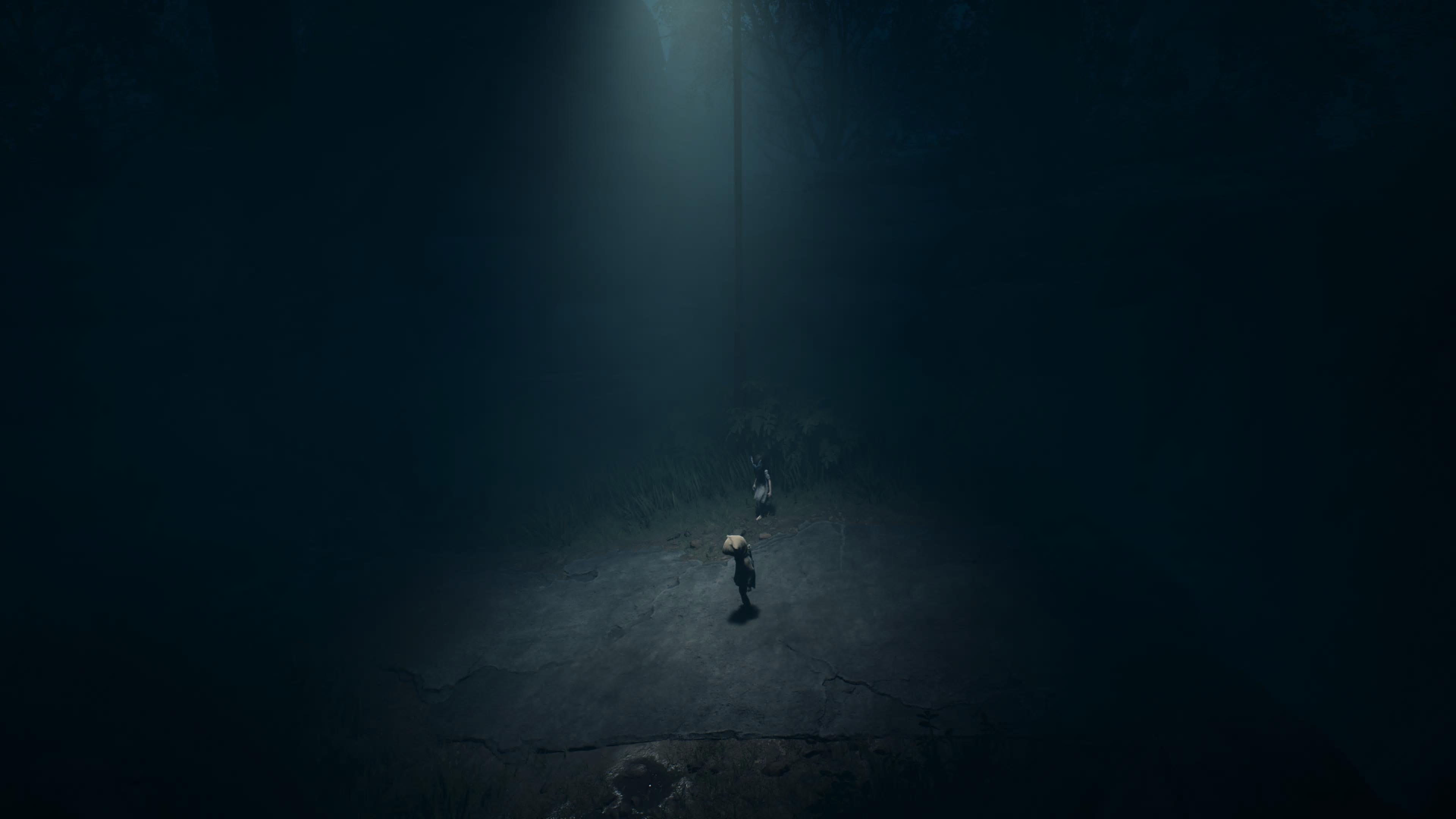 Reanimal screenshot taken on PS5 Pro