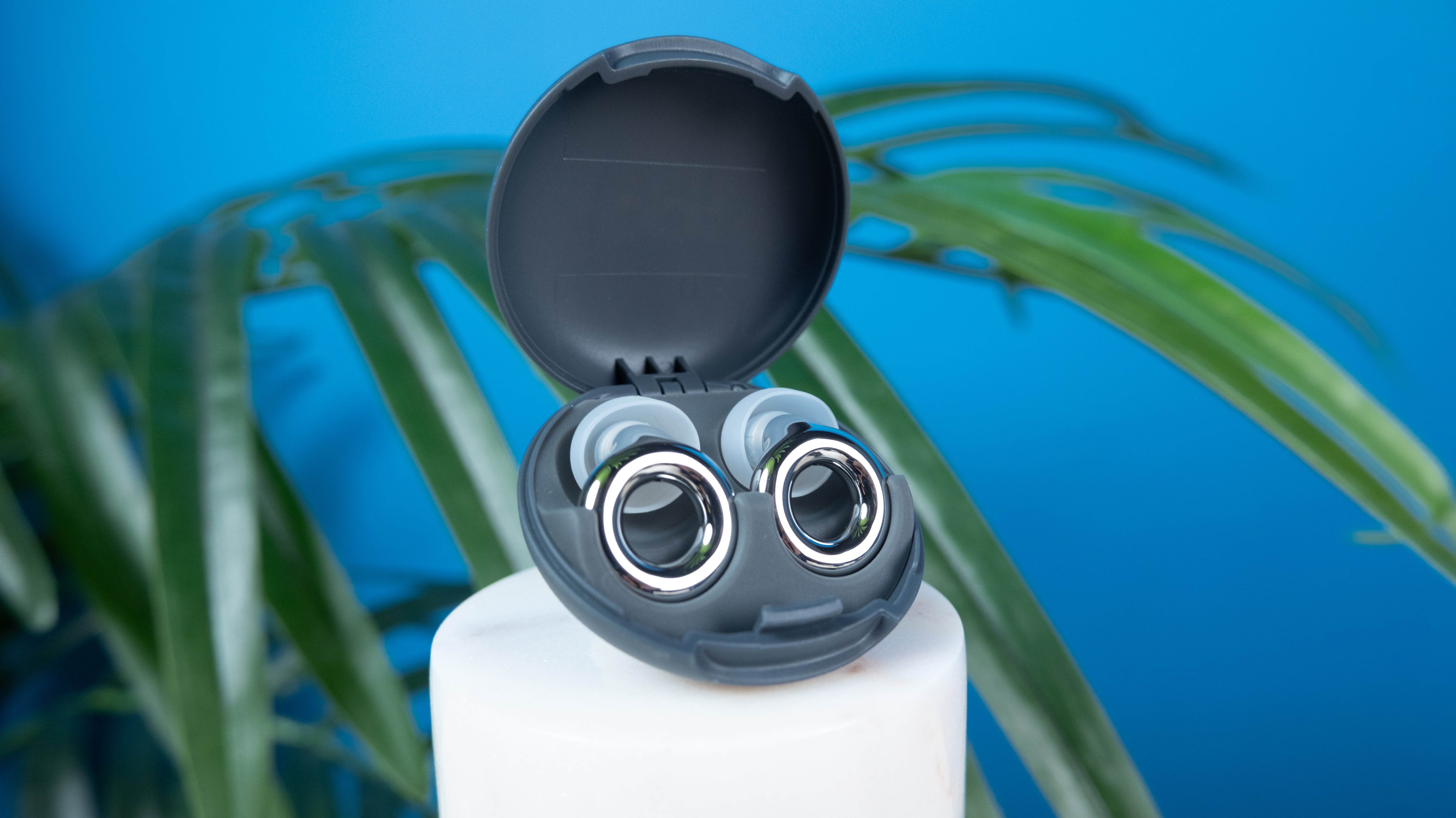 Loop Experience 2 Plus earplugs