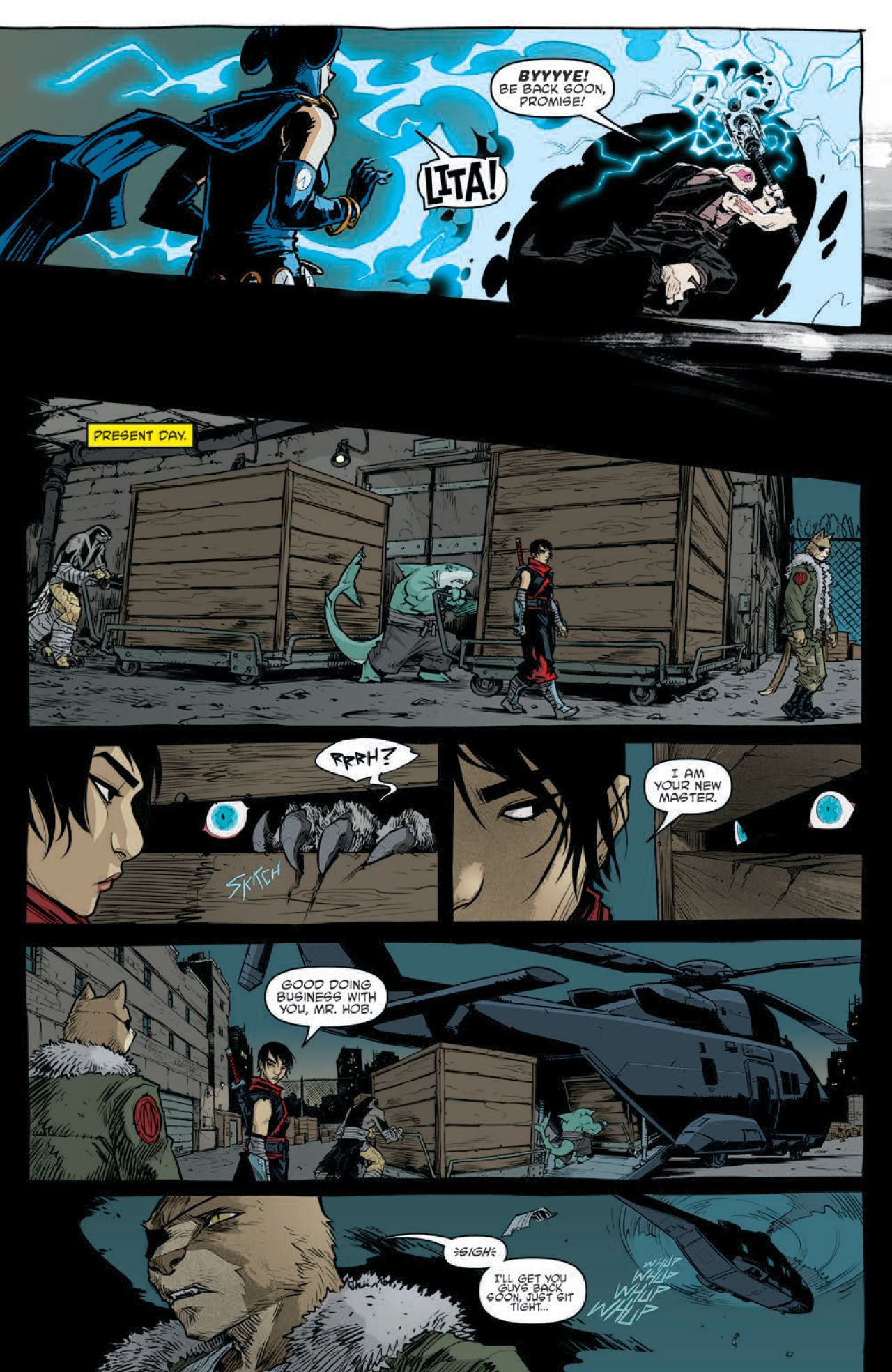 Teenage Mutant Ninja Turtles #113