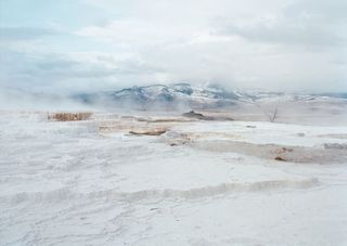 An ice/snow covered landscape.