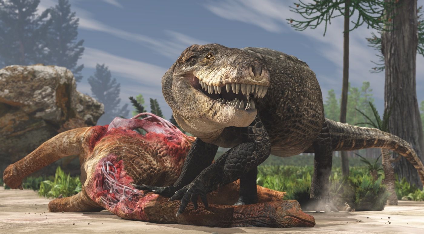 Super Croc with T. Rex Teeth May Have Chowed Down on Dinosaurs