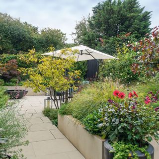 garden area with flower plants and patio umbrella