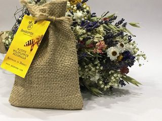 best wildflower seed mix native: Beebombs seed balls