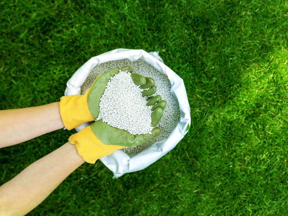 暑い時期に肥料を与えると植物に害を及ぼす可能性がある