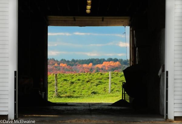 The view through one of the many cow barns