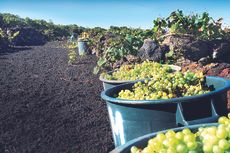 Fita Preta, Portugal