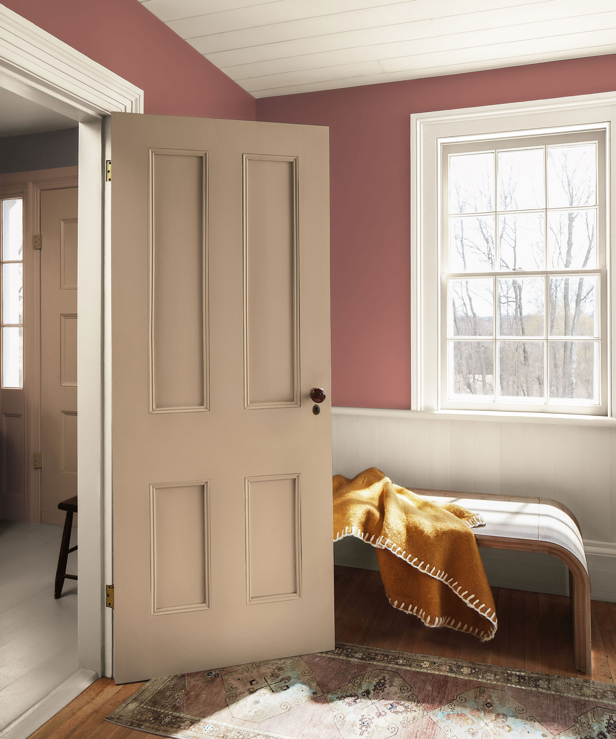 corner of living room with dark pink walls and painted four panel door