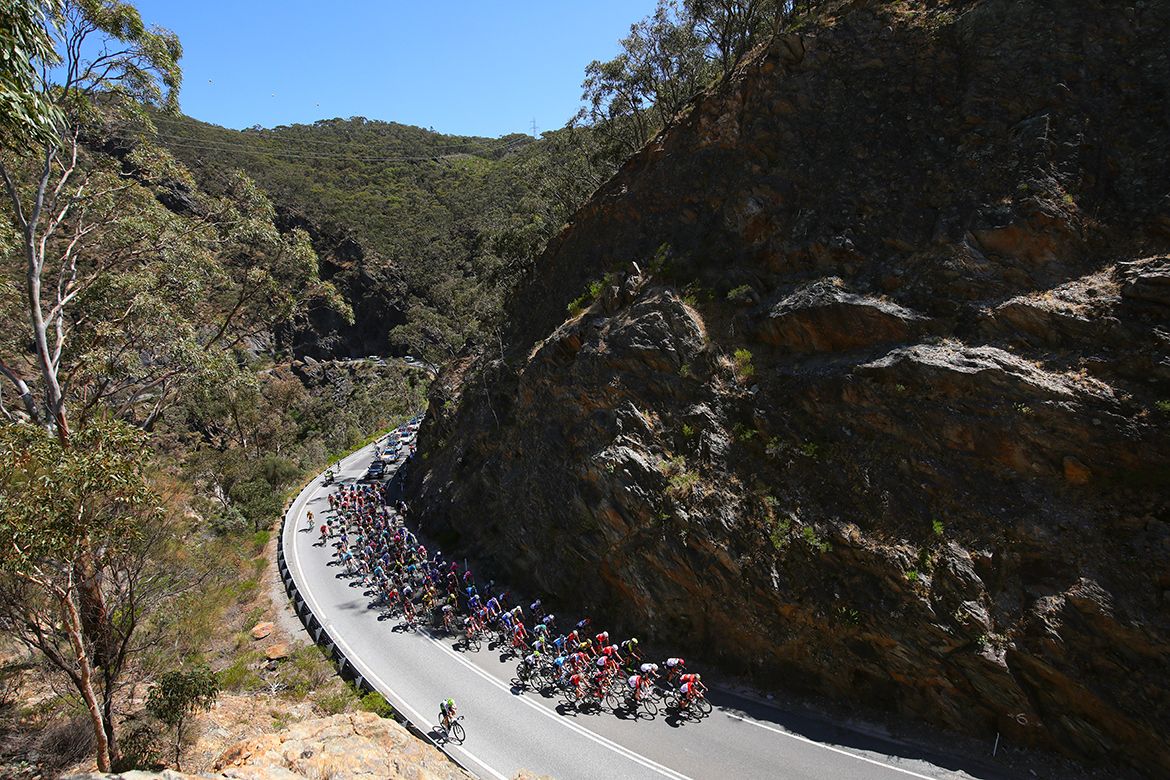 The landscape of stage 4